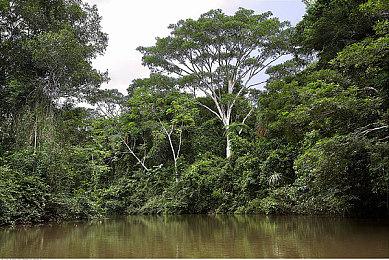 传闻：《星球大战绝地：幸存者》或于不久加入EA Play